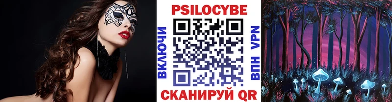 где купить наркоту  Аркадак  Галлюциногенные грибы Psilocybe 